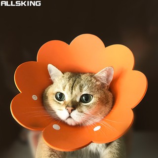 Allsking คอลล่าดอกไม้ ปลอกคอกันเลีย  ปลอกคอแมว คอลล่ากันเลีย…