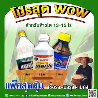 ชุดป้องกันและกำจัดแมลง เชื้อรา และบำรุงข้าวโต 13-15ไร่  รักษาโรคใบไหม้ เมล็ดด่าง หนอน เพลี้ย และติดดอกดก ออกรวง คูลเกษตร