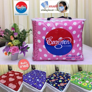 ผ้านวมห่มเดี่ยว ขนาด60×70นิ้ว(3.5ฟุต)