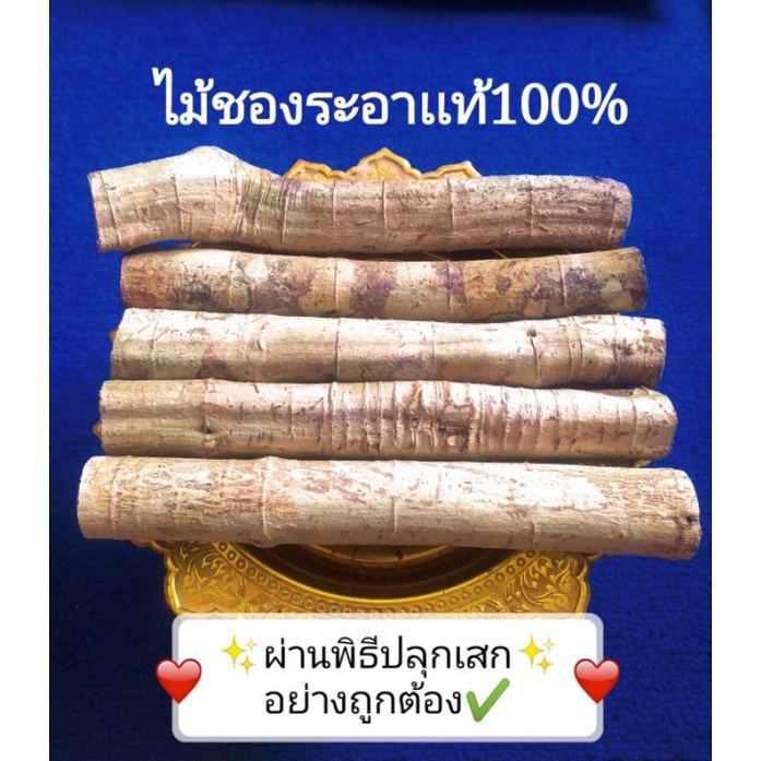 ไม้ชองระอา ของเเท้ (เข้าพิธีปลุกเสก)ไม้วิเศษกันคุณไสย์เวทย์มนต์ดำวิเศษนัก (มีเก็บปลายทางทักเเชทได้เลยครับ)