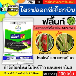 ฟลิ้นท์ 100กรัม (ไตรฟลอกซีสโตรบิน) ป้องกันเชื้อราเมล็ดด่าง แอนแทรคโนส