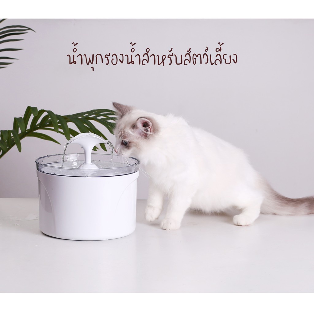 #P063 #P064 น้ำพุแมว กรองน้ำแมว รุ่น 2.5 ลิตร มีแบบกลมกับแบบเหลี่ยม