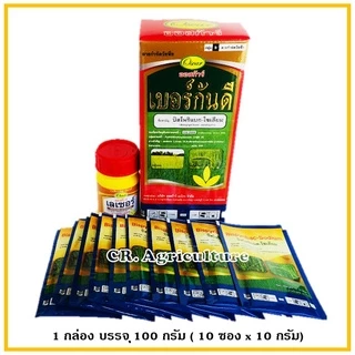 เบอร์กันดี บิสไพริแบคโซเดียม (แถม สารจับใบ) ยาฆ่าหญ้าในนาข้าว ยาเก็บหญ้า สารกำจัดวัชพืช ข้าวนก หญ้าแดง กกทราย หนวดปลาดุก