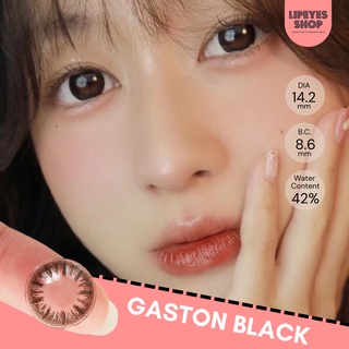รุ่น Gaston Black / Brown (รายเดือน) คอนแทคเลนส์ Angel Zone  รองรับค่าสายตาปกติและสายตาสั้น