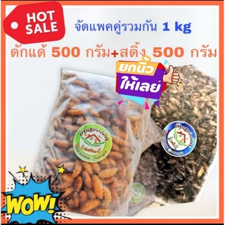 ดักแด้ครึ่งโล​+สดิ้งครึ่งโล​  รวม1กิโลกรัม​ฟรีลังโฟมครับ