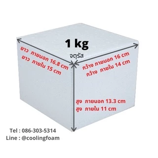 กล่องโฟม กล่องโฟมเก็บความเย็น ขนาด 1 กิโลกรัม (1 kg size 16.0 x 16.8 x 13.3 cm.) ลังโฟม