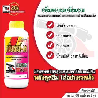 ควีแลนท์ เค ขนาด 1 ลิตร ปุ๋ยเคมีสูตรทางด่วนเหมาะสมกับทุกพืช  เร่งสร้างดอก ออกผล รสชาติดี สีสวย