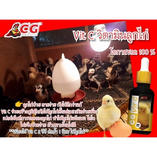 CG VIT C วิตามินลูกไก่ โอกาศรอด100%