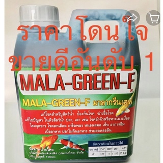 MALA-GREEN-F 1000 ml แผลเปื่อยนอนก้นตู้กักปลาก่อนปล่อยรวมกับปลาที่เลี้ยงไว้