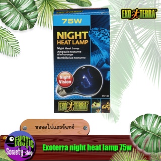 หลอดไฟสำหรับสัตว์เลื้อยคลาน Exoterra night heat lamp 75w