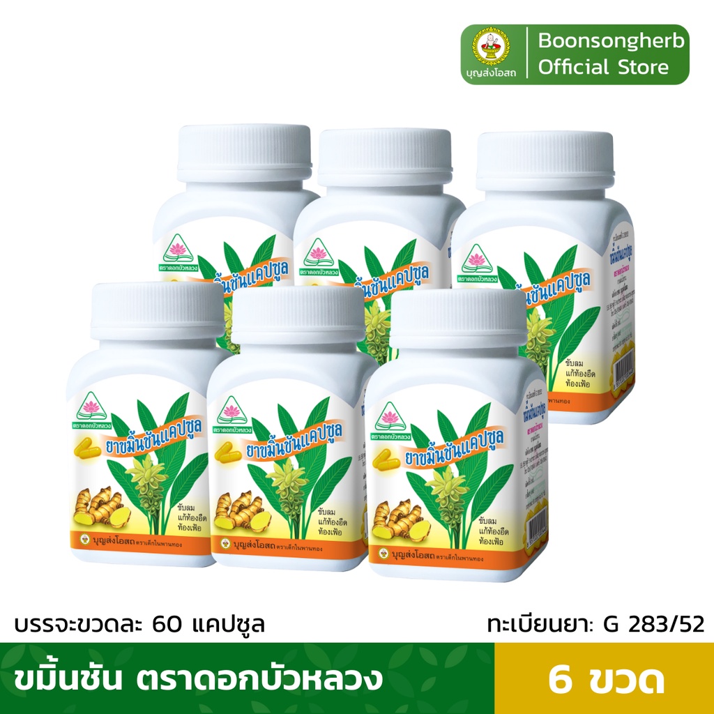 ขมิ้นชันแคปซูล ขมิ้นชัน ตราดอกบัวหลวง(60แคปซูล/ขวด) x6ขวด/ Lotus Brand Turmeric Capsule x6Bottle
