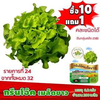 [ซื้อ10แถม1 + ฟรีคู่มือ] เมล็ดพันธุ์ กรีนโอ๊ค เมล็ดขาว GREEN OAK  (0.2 กรัม 200 เมล็ด) ทำมะชาดฟาร์ม  ผักสลัด เมล็ดพันธุ์