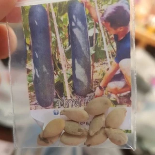 ฟักดำยักษ์🎯ถูกที่สุด10บ.🎯เมล็ดพันธุ์ฟักดำยักษ์10-50เมล็ด🌱ปลูกง่าย🍀ทานอร่อย🍀ผลใหญ๋ยักษ์
