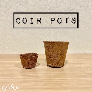 Coir Pots 🥥🌴🪴กระถางใยมะพร้าว [S,M]