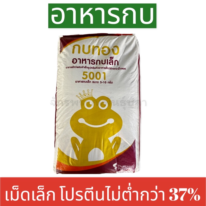 อาหารกบ ตรากบทอง ขนาดเม็ดเล็ก โปรตีนไม่ต่ำกว่า 37% (1กระสอบ)