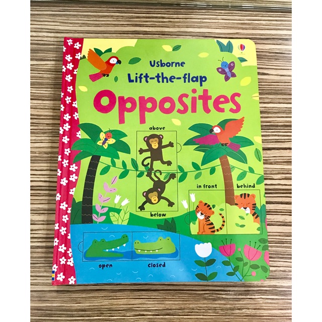Usborne🌴Opposites🌴🐿🐒