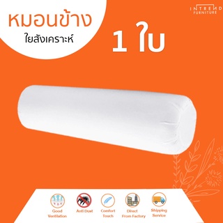 Furniture Intrend หมอนข้างใยสุขภาพป้องกันไรฝุ่น (White) 1ใบ