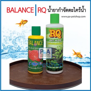 น้ำยากำจัดตะไคร่น้ำ RQ ANTI ALGAE &amp; Balance 120-200ml [ได้ผล100%]