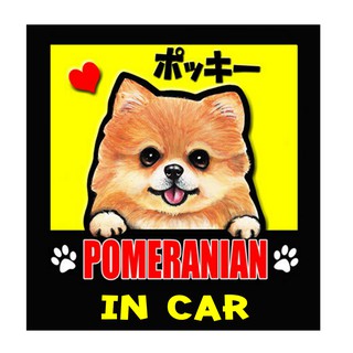 สติกเกอร์ติดรถ สติ๊กเกอร์ติดรถยนต์ สติกเกอร์หมา Pomeranian AJ36