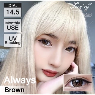 คอนแทคเลนส์🌈Always🌈 Brown / Gray (Luxzylens) ขนาดบิ๊กอาย💖