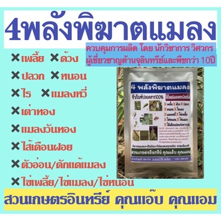 4พลังพิฆาตแมลง 100 กรัม บิวเวอเรีย+เมธาไรเซียม+บีที+พาซิโลมัยซิส กำจัดป้องกันแมลง เพลี้ย ด้วง หนอน ตัวอ่อนและไข่ทุกชนิด