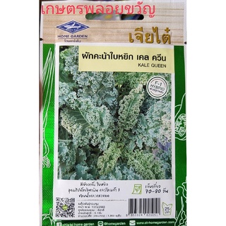 เมล็ดพันธุ์ ผักคะน้า ผักคะน้าใบหยิก เคล ควีน📌หมดอายุ 06/2567 🍀บรรจุ 5กรัม/1900 เมล็ด