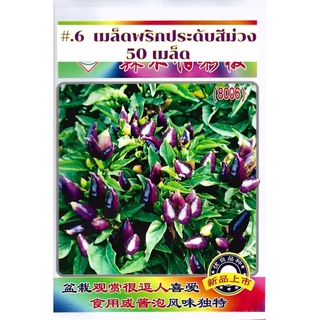 เมล็ด พริกประดับสีม่วง  สายพันธุ์ OP rainbow chili pepper จำนวน 50 เมล็ด