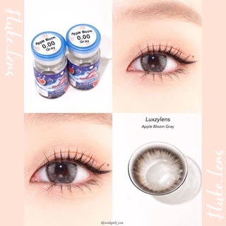 คอนแทคเลนส์ รุ่นตาไบรท์สวย 💖 Apple Bloom brown , gray 💖 Luxzylens ใส่สบายตามาก เลนส์กรองแสง ของแท้✅ Made in Korea