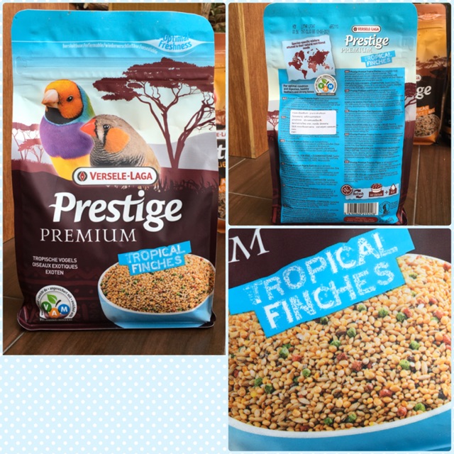 อาหารนกฟินซ์ ซีบร้า กระจอกชวา ฯลฯ Prestige Premium ( Vesele-laga ) ( 800g )