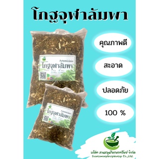 โกฐจุฬาลัมพา คัดพิเศษ!! ขนาด 500กรัม สินค้าพร้อมส่ง!!