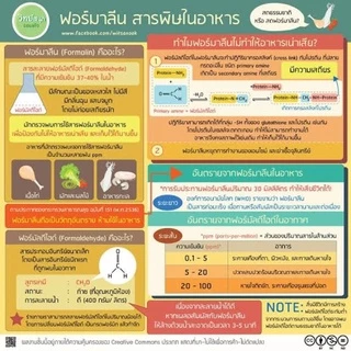 ชุดทดสอบฟอร์มาลีน (น้ำยาดองศพ) ในอาหาร 1 Test (ตรวจฟอร์มาลินในอาหาร/หมูแช่ฟอร์มาลีน/Formalin)
