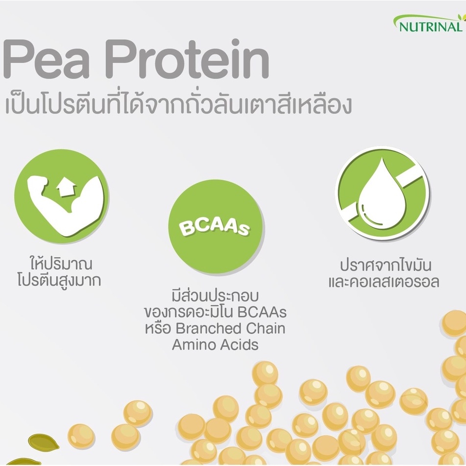 ของแท้❗HY PRO NEXT Protein [Chocolate] โปรตีนจากพืช แพ้นมวัวทานได้ ดูดซึมเร็วย่อยง่าย กลิ่นช็อกโกแลต - รูปที่ 6