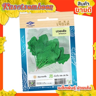 เมล็ดปวยเล้ง ( 10 แถม 1 ) เมล็ดผักซอง spinach seed บรรจุ 200 เมล็ด/ซอง ขนาด 15 บาท ตรา เจียไต๋