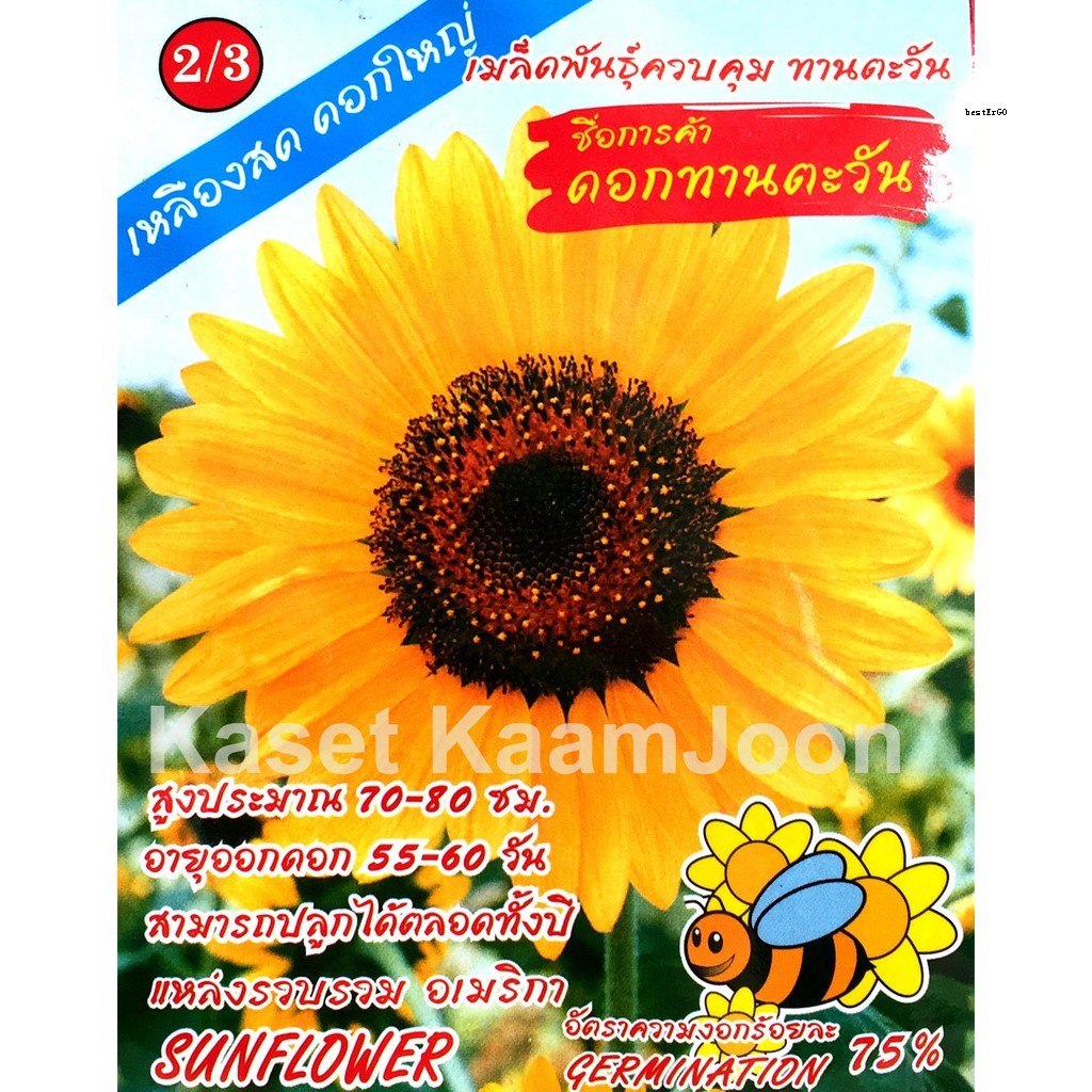 My Image 50