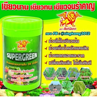 Super Gree ขนาด 100 กรัม ยอดพุ่งไว ใบเขียวเข้มแตกกอดี มีรากเยอะทนแล้ง ทนหนาว พืชไม่งัน