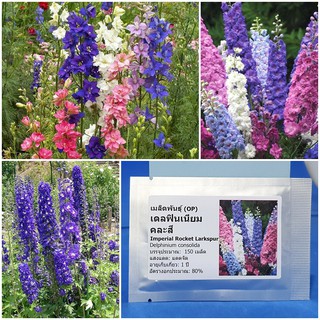 เมล็ดพันธุ์ ดอกเดลฟินเนียม คละสี (Imperial Rocket Larkspur Flower Seed) บรรจุ 150 เมล็ด คุณภาพดี ราคาถูก ของแท้ 100%