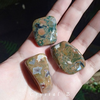 Rainforest Rhyolite Jasper 🍀🌳 หินธรรมชาติ ก้อนขัดมัน แจสเปอร์