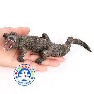Munich Play - จระเข้ เทาดำ ขนาด 20.50 CM (จากหาดใหญ่)