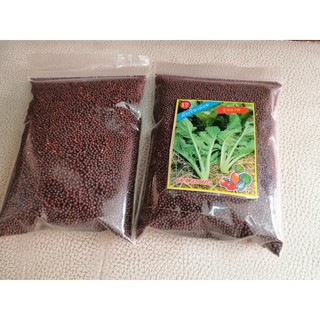 เมล็ดผักกาดเขียว​ ผักชุนฉ่าย 100 กรัม พันธุ์ บิ๊กเขียวน้อย  เมล็ดผัก เมล็ดพันธุ์ ตรา สี่ทิศ 4ทิศ​ ชุนฉ่าย แบ่งขาย