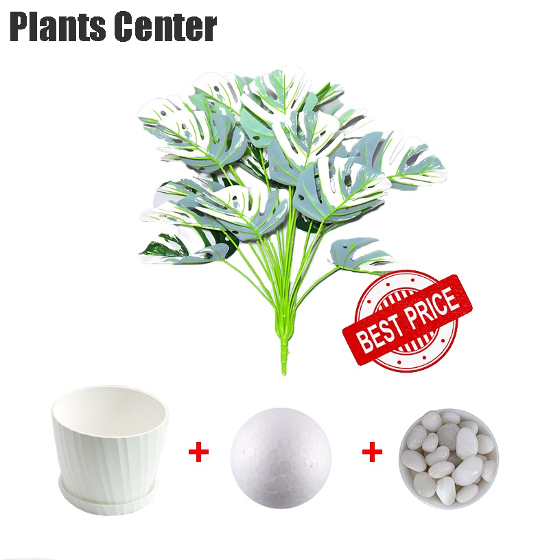 PlantsCenter P005 ต้นไม้ปลอม(ฟรีหินโรย)ต้นไทรใบสัก มอนสเตอร่า ฯลฯ สูง40-105ซม.พร้อมกระถางและหินสีขาว รูปที่ 7