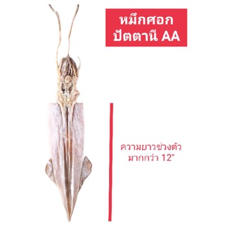 หมึกศอก หมึกไหว้ หมึกศอกปัตตานี เกรด AA 1,000 บาท (500 g) #หมึกศอก #หมึกไหว้