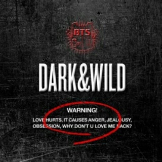 พร้อมส่ง❗️ BTS - DARK &amp; WILD