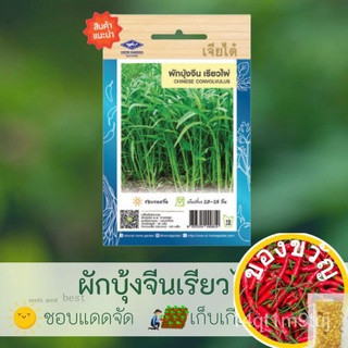 10ฟรี2 เมล็ดพันธุ์ผัก ชุดที่1 ผักชี ผักบุ้ง ผักคะน้า เม็ดผักเจี๋ยไต๋ เม็ดผักสวนครัว ผักใบยอดนิยม เม็ดผักต่างๆ หลากหลายชน