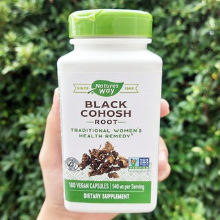 สารสกัดรากแบลคโคฮอส Natures Way® Black Cohosh Root 540mg 180 Vegetarian Capsules