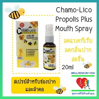 Chamo-lico mouth spray คาร์โม-ลิโค เม้าส์สเปรย์ Sugar Free สเปรย์พ่นคอ แก้ไอ เสมหะ เจ็บคอ ลดการ