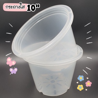 37POTS กระถางใส ขนาด 10 นิ้ว สำหรับต้นไม้ที่ต้องการดูแลรากเป็นพิเศษ