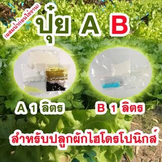 ปุ๋ย AB สำหรับปลูกผักไฮโดรโปนิกส์ ชนิดแห้ง (ผสมน้ำก่อนใช้) ขนาด 1 ลิตร