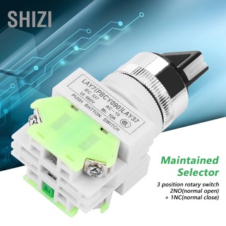 Shizi 3 Position สวิทช์ล็อคในตัว Lay37-20X/31
