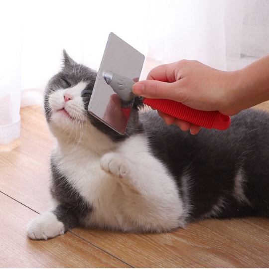 (กำจัดสังกะตัง) แปรงขนแมว แปลงขนสุนัข ใช้แปรงขน  สุนัข แมว สัตว์เลี้ยง ทำให้ขนฟูสวย ลดขนพันกัน - รูปที่ 2