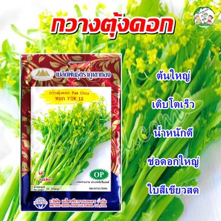 เมล็ดกวางตุ้งดอก หยก12 (Pak Choy) เมล็ดพันธุ์กวางตุ้งดอก เมล็ดพันธุ์ผัก กวางตุ้งดอก เมล็ดผักสวนครัว ตราภูเขาทอง